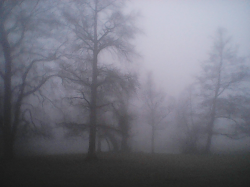Cemetery of the "Districts Lunatic Asylum" #13
