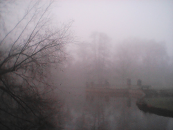 Cemetery of the "Districts Lunatic Asylum" #12