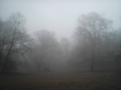 Cemetery of the "Districts Lunatic Asylum" #11