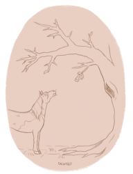 rotten fruits