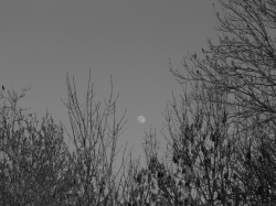 DSC04678.JPG