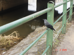 DSC04641.JPG