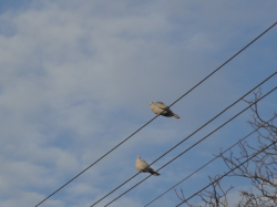 DSC04.JPG