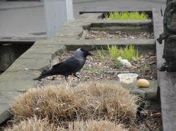 DSC00445.JPG
