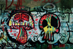 Graffiti on a Ruined Factory