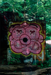 Graffiti on a Ruined Factory
