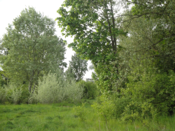 DSC04747.jpg