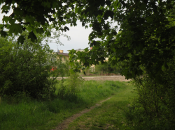DSC04749.jpg