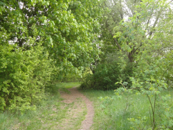 DSC04759.jpg