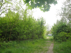 DSC04760.jpg