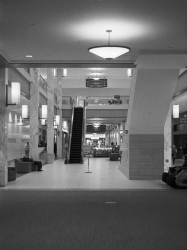 escalators.jpg
