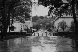 From a recently developed roll