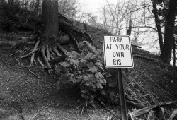 From a recently developed roll ×3