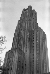 From a recently developed roll ×4