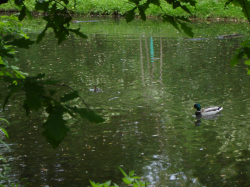 DSC00002.JPG
