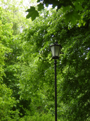 DSC00051.JPG