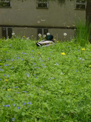 DSC00056.JPG