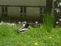 DSC00058.JPG