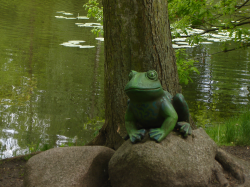 DSC00068.JPG