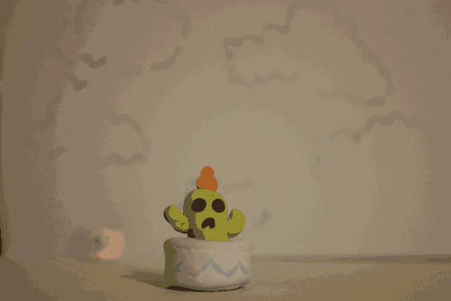The Lonely Cactus
