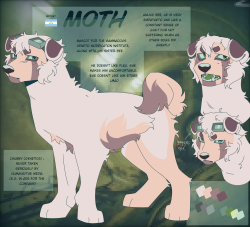 Moth ref sheet heart emoji