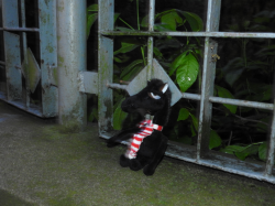 DSCN5568.jpg