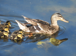 DSCN5616.jpg