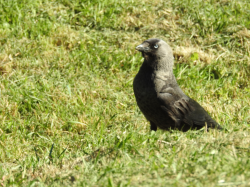 DSCN5625.jpg