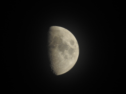 DSCN5574.jpg