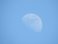 DSCN5622.jpg