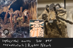 breaking news!!!