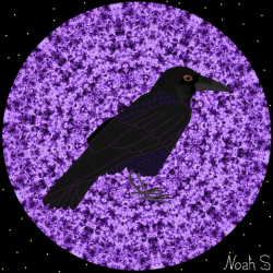 Raven
