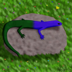 Lizard