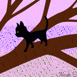 Kitten