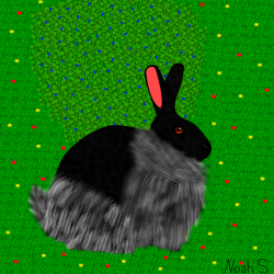 Rabbit