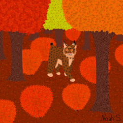 Lynx