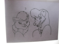 Furry Animation