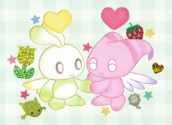 happy anniversary, rose!