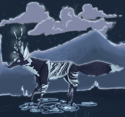 Stray (OC)