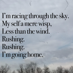 going-home.jpeg