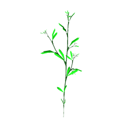 sprout.wrl