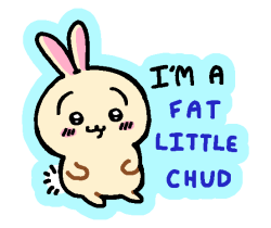 usagi.png