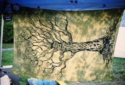 Mountain Music Fest 2026 ×6