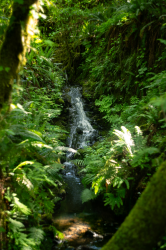 hidden waterfall - Rainbow Falls State Park
