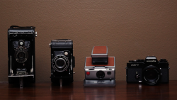 The start of a large collection...