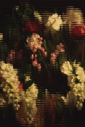 flower kaleidoscope visuals
