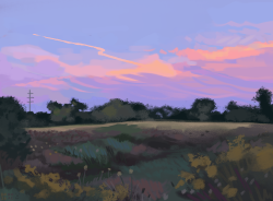 sunset