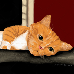 Zyler the cat - SEH @kieraoona- 2026