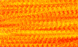 ketchupmustard.png