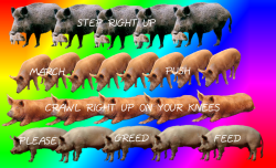 nin.png